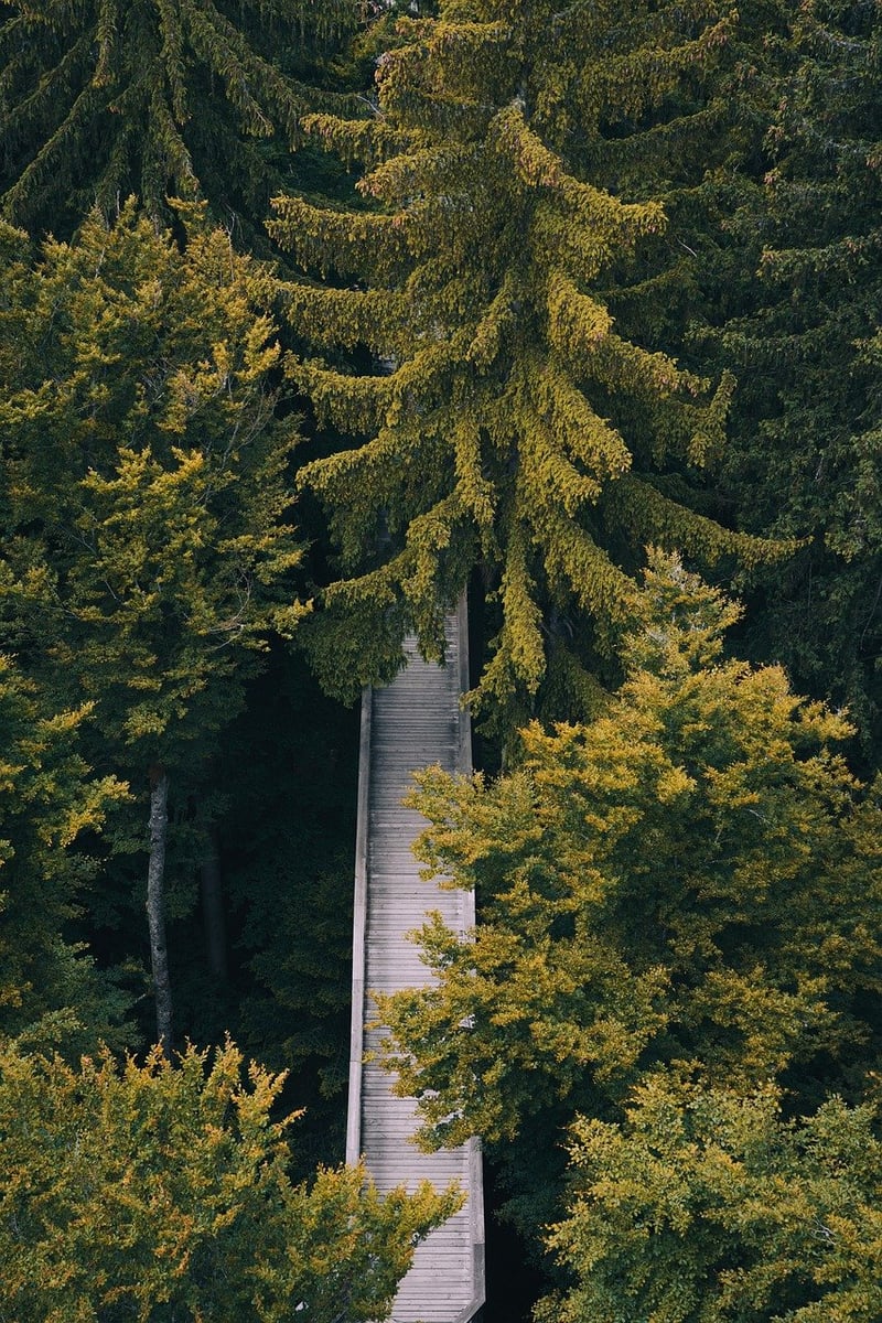 Perilous Paths